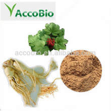 Bulk Supply Panax ginseng CAMeyer Ginsenosides 25% Polvo